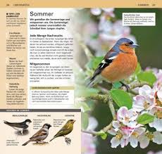 Denn vögel besitzen für ihre hinterlassenschaft nur eine körperöffnung, aus der beides gleichzeitig ausgeschieden wird. Gartenvogel Beobachten Und Bestimmen
