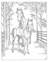 Doe C Doe Thursday Embroidery Horse Coloring Pages Horse Coloring Farm Animal Coloring Pages