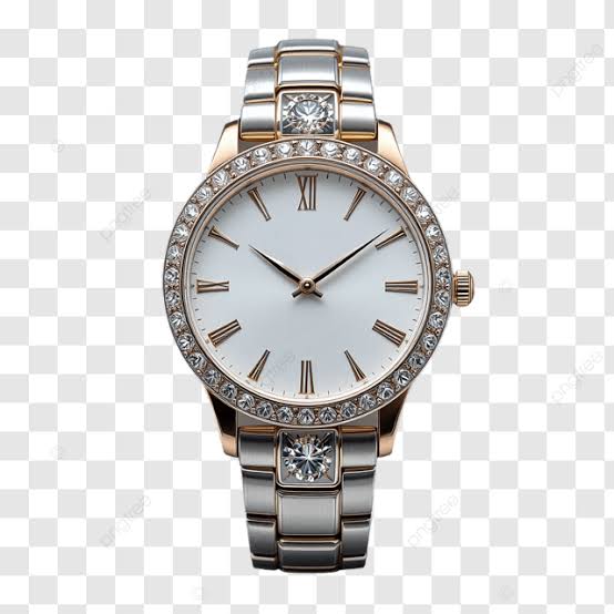 Shielmond Watch Accessories