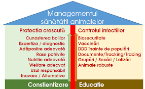 Profesorul matei bals a fost unul dintre medicii infectionisti care au. Http Www Veterinarypharmacon Com Docs 1948 2018 Vd 12 1 Art2 Ro Pdf