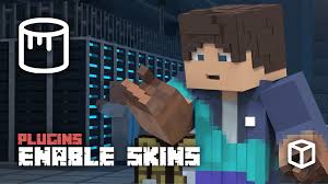 Finding a server can be a challenge with the potential reward of collaborative builds, pvp areas, creative challenges and friends. How To Enable Skins On A Minecraft Server Apex Hosting