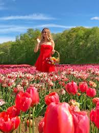 Announcing the departure of winter with lovely pink, purple, yellow, or white petals, crocuses are one of the best early spring flowers. New England Flower Fields To Visit This Spring Chelsea Marrs