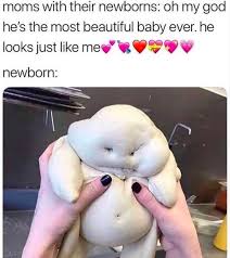 May 19, 2013 · the 32 funniest baby memes all in one place. The Funniest Pregnancy Memes On The Web Ranked Mabel Moxie