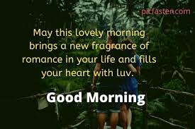 Send romantic morning wishes to your love. 25 Romantic Good Morning Images For Boyfriend Husband Whatsapp Dp Status Picfaster