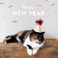 Happy New Year Cat Happy New Year Gif Happy New Year Animation New Year Gif