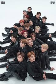 Oh iya kemarin aku sempat lihat ada komen yang ngasih link grup whatsapp nya,dimohon jangan ya karna komen seperti itu akan aku hapus dari . Nct Members Profile K Pop Database Dbkpop Com
