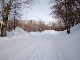 Почасовой прогноз погоды в новосибирске. Prognoz Pogody V Novosibirske Na Mart 2021 Goda