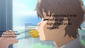 Not Sure Whether Or Not I Used The Format Correctly Seishunbutayarou Disfrútalo !cualquier sugerencia es bienvenida, por favor menciónala en la caja de comentarios !☁anime. format correctly seishunbutayarou