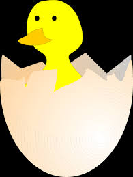 Cara mengatasi masalah suhu pada mesin penetas telur. Gambar Telur Bebek Menetas Clipart Full Size Clipart 1373396 Pinclipart
