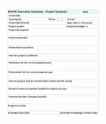 Word Executive Summary Template Unique Word Executive Summary Template Iso Certification Executive Summary Template Word Template Executive Summary