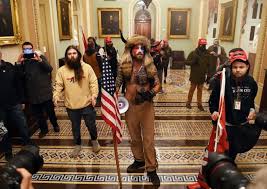 29 pictures that show what domestic terrorism looks like in the united states. Horned Shirtless Man At The Capitol Protest Identified