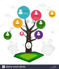 family tree chart stock photos family tree chart stock