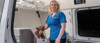 Check spelling or type a new query. Aussie Pet Mobile The Leader In Mobile Pet Grooming