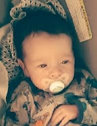 Joshua Hibbs's Instagram, Twitter & Facebook