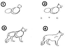 Hoe Schets Je Een Hond Drawings All About Animals Wolf Dog