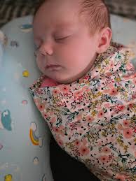 I know I was once asking what people use for newborns when camping. I have  a GD 290BH and this fits perfect. I bought at Walmart but Amazon had them  too for