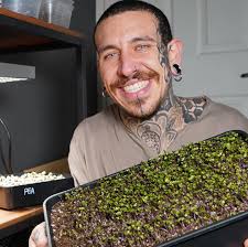 Small square foot garden tomatoe harvest