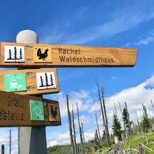 We did not find results for: Ein Wochenende Im Bayerischen Wald Zwischen Rachel Und Lusen Mehr Berge De