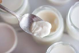 how to make lactose free yogurt