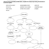 Central nervous system (cns) structure and function brainspinal cordcellsprotective structuresas the central nervous system is vital for a variety of functions as well as surviving, it is exceptionally well protected. 1