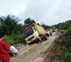 Tanah merupakan bagian dari kerak bumi yang tersusun dari bahan organik dan mineral. Spks
