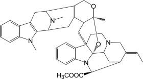 Image result for Strophanthus welwitschii