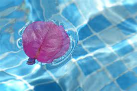 Nah, berdasarkan primbon tabir arti mimpi yang kami miliki, mimpi berenang di air yang sangat jernih adalah pertanda baik untuk kehidupan anda. Mimpi Berjalan Di Air Jernih Viral Arti Mimpi Menimba Air Jernih Di Sumur Jika Anda Bermimpi Melihat Genangan Air Yang Sangat Jernih Di Kebun Anda Huong Veras