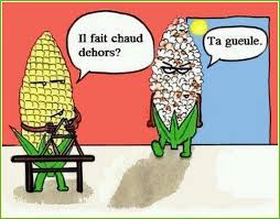 Résultat de recherche d'images pour "canicule 2017 humour"