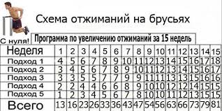 программа тренировок в тренажерном зале для похудения для девушек Kartinki Po Zaprosu Otzhimanie Na Brusyah Programma Trenirovok Sports Words Word Search Puzzle