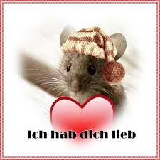 Wenn man sein passendes bild gefunden hat und einen passenden rahmen dazu gewählt hat, kann es der hingucker in ihrem zu hause werden. Untitled Der Valentinstag Gilt Wie Eine Meiner Liebsten Gelegenheiten Um Sie Mit Meiner Famil Schone Spruche Liebe Valentinstag Lustig Valentinstag Spruche