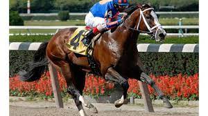 The 10 Most Expensive Racehorses Ever Sold At Auction Thestreet