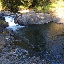 If you're looking for the best trails around millersylvania state park or lake sylvia state park, we've got you covered. Rainbow Falls State Park Chehalis Wa