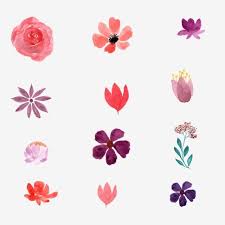 Watercolor Hand Painted Flower Collection Flowers Plant Watercolor Png And Vector With Transparent Background For Free Download In 2020 Flower Clipart Watercolor Flowers Watercolor Pictures