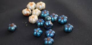 Image result for Margaritaria