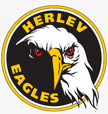 Facebook logo youtube logo snapchat logo google logo amazon logo apple logo twitter logo transparent background. Philadelphia Eagles Logo Transparent