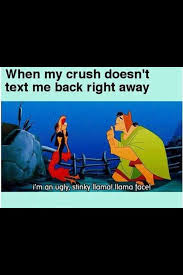 Next Time My Crush Doesn T Text Me Back I Am Going To Say This Lol Funny Photos Funny Photo Gallery Funny Pictures