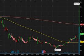 Can i buy otc stocks on webull? Any Cannabis Stocks On Robinhood Webull App Not Updating Nikita Gaur