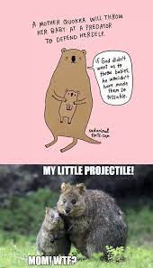 Fresh Viral Memes 19 Pics Funnymemes Funnypictures Humor Funnytexts Funnyquotes Funnyanimals Funny Lol Haha Memes Best Funny Pictures Funny Cruel