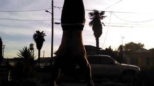 Sf Bay Area All Personals Classifieds Fit Craigslist Bay Area Bay Fitness