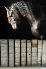 404 File Not Found Horse Inspiration Beautiful Horses Horses