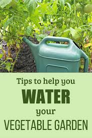 That scorching heat coupled with a lack of rain has led to increased drought across the country. How To Make Watering Your Vegetable Garden Easier Oak Hill Homestead
