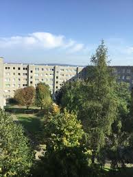 Schon vor jahrhunderten bewegte das städtebauliche areal dir. 4 Raum Wohnung Mieten Dresden Feinewohnung De