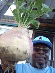 One more road led to a hidden gem