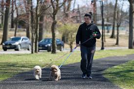 See here for more information about our nj stores in clinton, chester, livingston, & chatham! Pet Clinics And Pet Stores In N J Will Remain Open During The Coronavirus Pandemic What To Do If Your Pet Needs Medical Care Nj Com