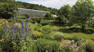 Hier sehen sie eine übersicht über das freigelände des botanischen gartens. Botanischer Garten Tubingen Moritz Stadtmagazin Veranstaltungen Konzerte Partys Bilder