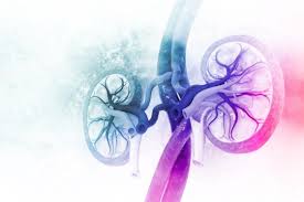 The majority of parenchymal cystic lesions represent benign epithelial cysts; Acute Kidney Injury Versus Chronic Kidney Disease Nursingcenter