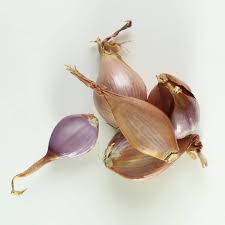 Look for green roots another way to determine if garlic has gone rancid is to check if. How To Tell If Garlic Is Bad 4 Simple Tests Home Cook Basics