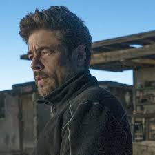 It was selected to compete for the palme d'or at the 2015 cannes film festival. Melania Knew What She Was Putting On Benicio Del Toro On Drugs Sicario And Trump S Border War Benicio Del Toro The Guardian