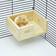 Robot Check Hamster Accessories Hamster Toys Hamster