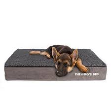 Best Dog Beds For Golden Retrievers Cool Dog Beds Dog Pet Beds Waterproof Dog Bed